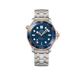 Seamaster Automatic Dial 210.20.42