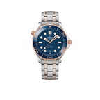 Seamaster Automatic Dial 210.20.42