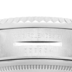 Sky-Dweller 42mm Steel White Gold Green Dial Mens Watch 336934