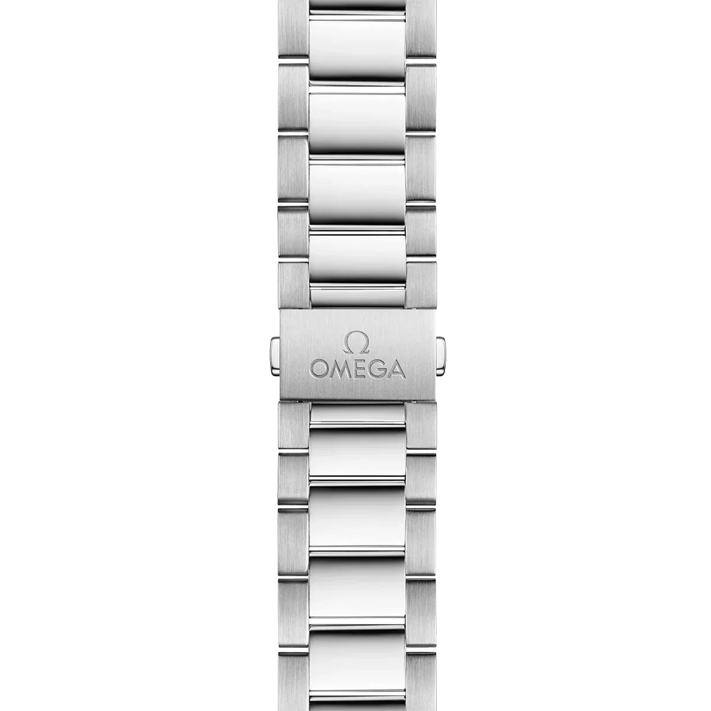 Seamaster Aqua Terra 41 mm Black Dial