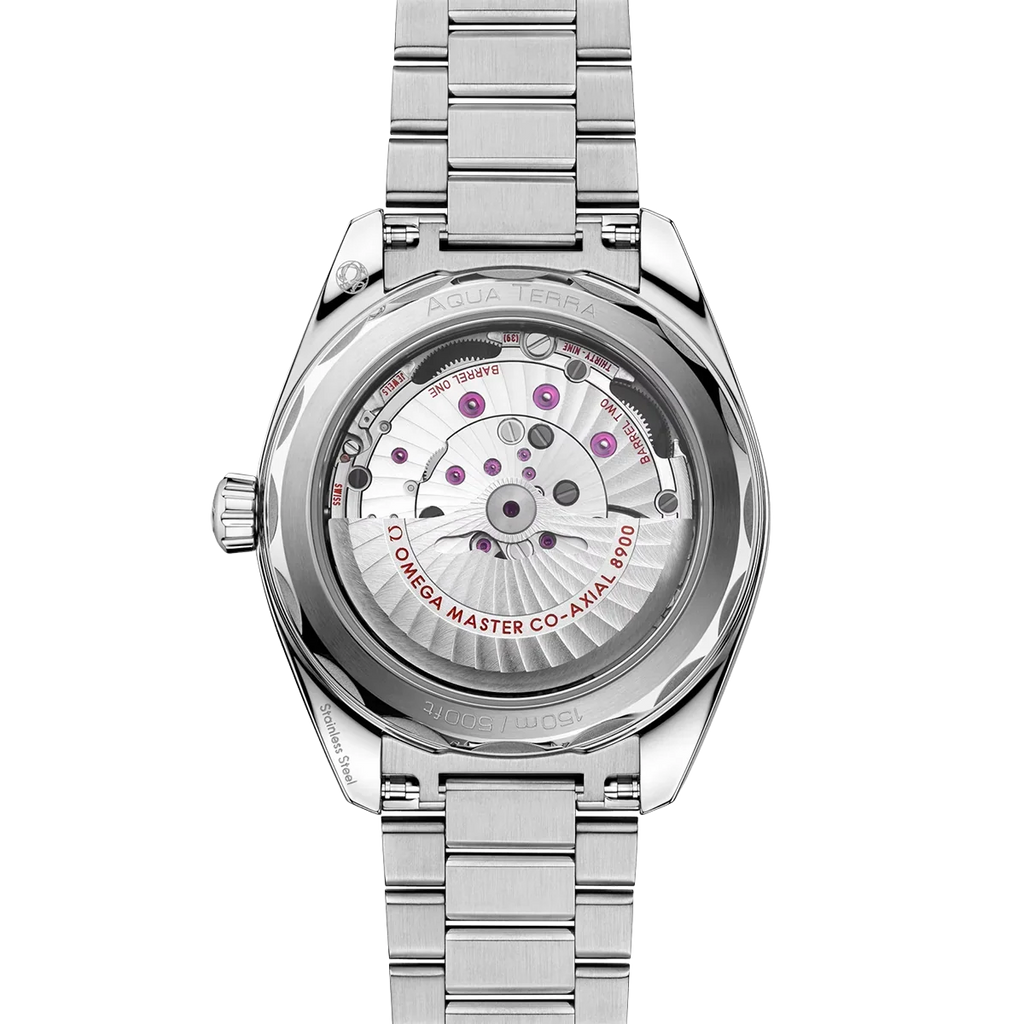 Seamaster Aqua Terra 41 mm