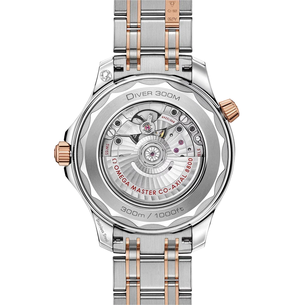 Seamaster Automatic Dial 210.20.42