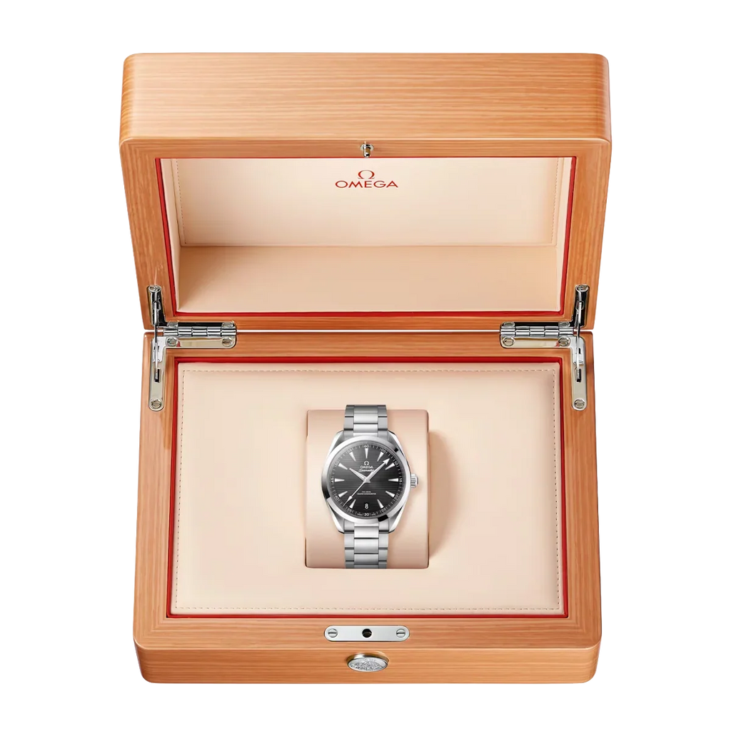 Seamaster Aqua Terra 41 mm Black Dial