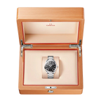 Seamaster Aqua Terra 41 mm Black Dial