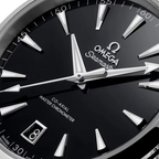 Seamaster Aqua Terra 41 mm
