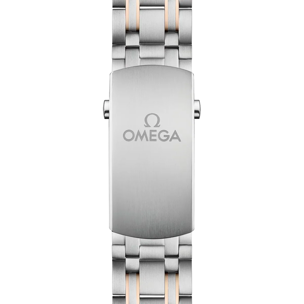 Seamaster Automatic Dial 210.20.42