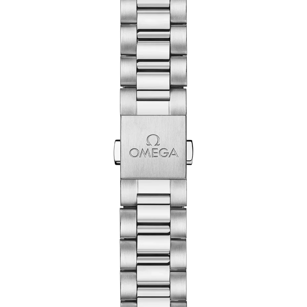 Seamaster Aqua Terra 41 mm