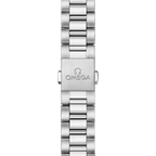 Seamaster Aqua Terra 41 mm