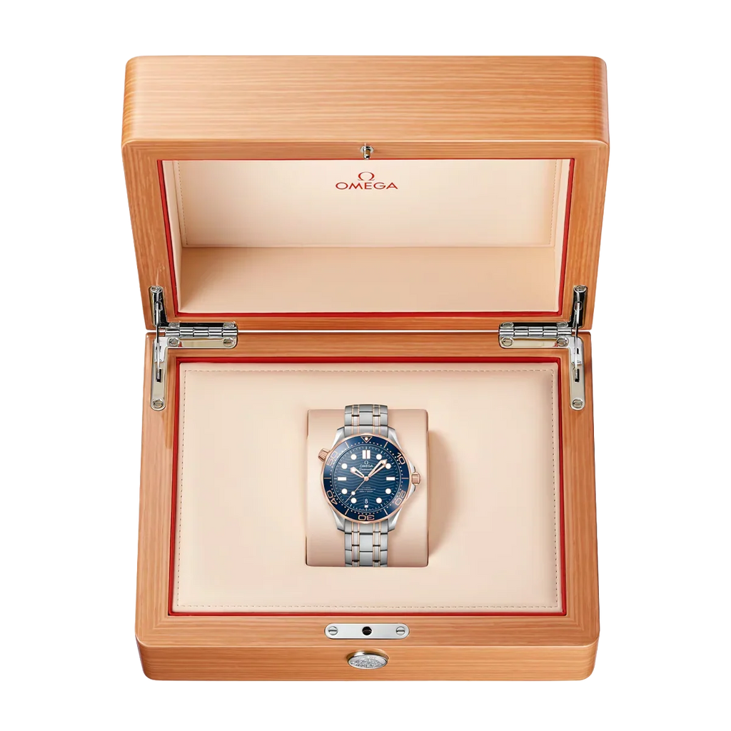 Seamaster Automatic Dial 210.20.42