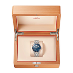 Seamaster Automatic Dial 210.20.42