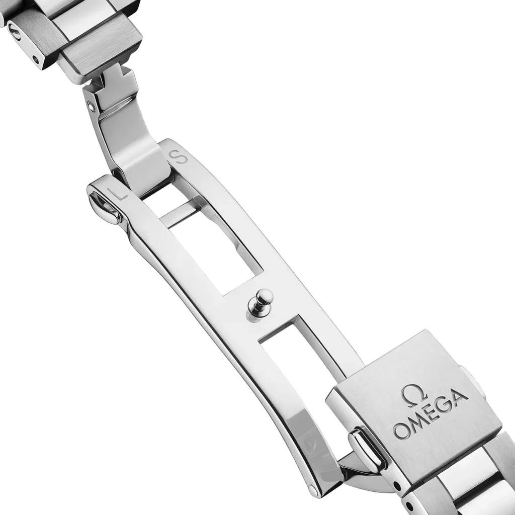 Seamaster Aqua Terra 41 mm