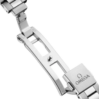 Seamaster Aqua Terra 41 mm