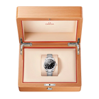 Seamaster Aqua Terra 41 mm