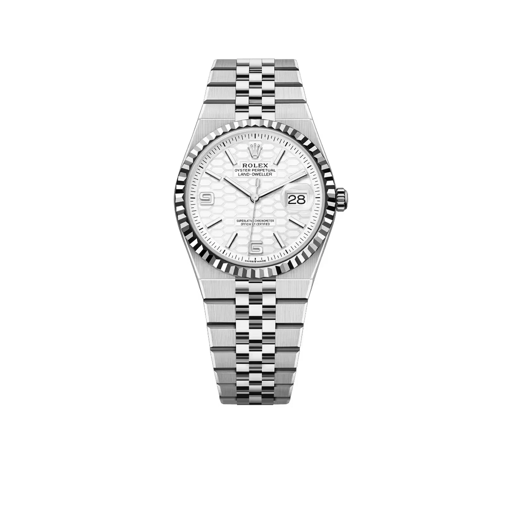Land-Dweller 36 mm  Oystersteel White Gold M127334-0001