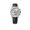 Daytona Oyster 40 mm white gold and diamonds M126539TBR-0002