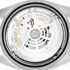 Sky-Dweller 42mm  Silver Dial Steel White Gold Mens Watch 326934