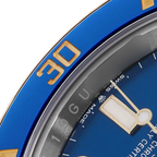 Submariner 41mm Steel Yellow Gold Blue Dial Mens Watch 126613